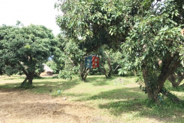 B0002-04