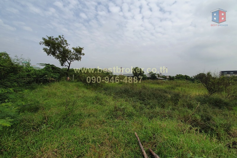 BB013-017